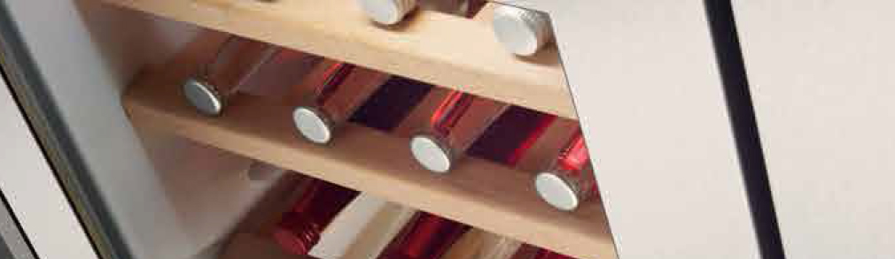 Vinoteca Integrable AEG