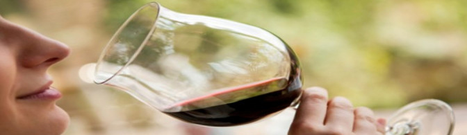 Aromas De Vino