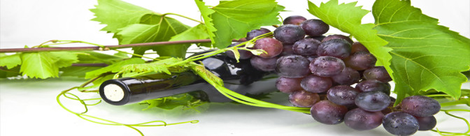 Aromas Primarios Del Vino.