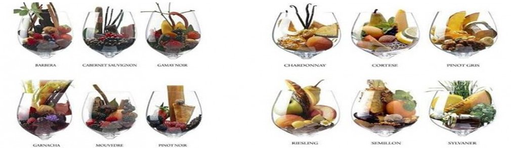 Kit De Aromas De Vino