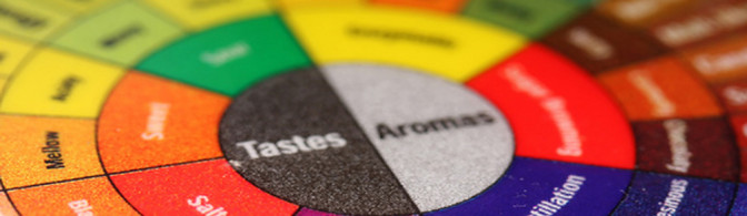 Circulo de aromas del vino