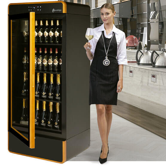 Vinoteca Enofrigo I AM 2000 Multitemperatura Kit camarera