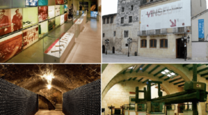 Museo de la Cultura del Vino de Cataluña