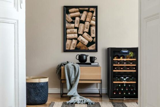 Vinoteca LA Sommeliere ECS51-2Z ambiente