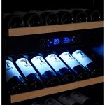 Vinoteca Caviss C2200GBEG display