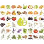 Kit 88 Aromas del Vino 1-44 aromas