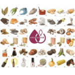 Kit 88 Aromas del Vino 45-88