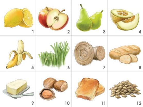 Kit 12 Aromas de la Cerveza Ficha