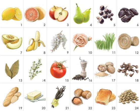 Kit 24 Aromas de la Cerveza