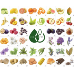 Kit Maestro 88 Aromas del Whisky 1-44
