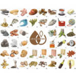 Kit Maestro 88 Aromas del Whisky Ficha Aromas 44-88